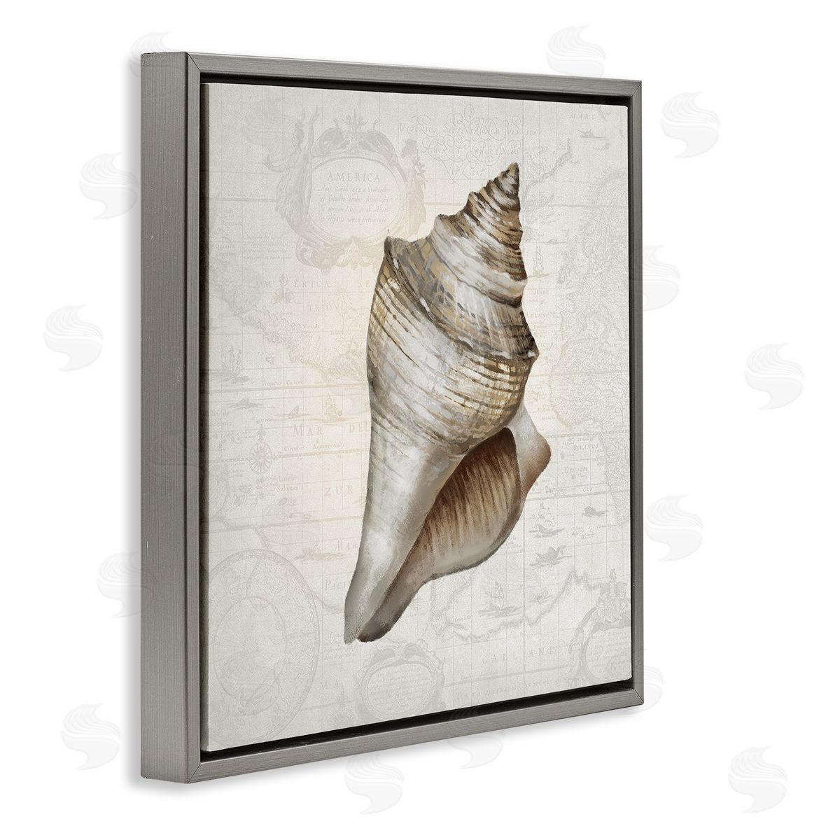 Conch Shell over Vintage Map Grey Floating Frame Canvas Wall Art, Home Decor by Conrad Knutsen
