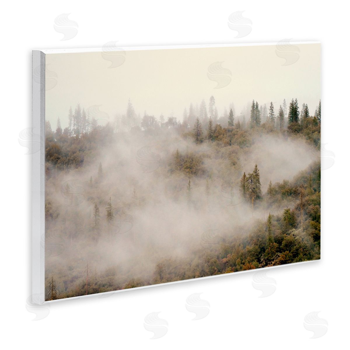 Morning Fog over Trees Wood Plaque Wall Art, Home Decor by Gemma Bardot