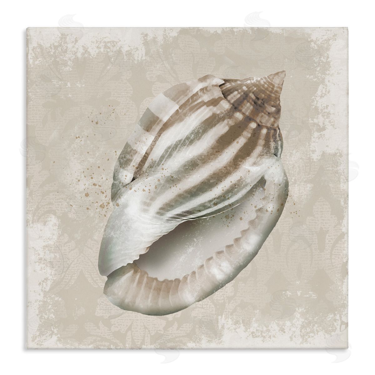 Conrad Knutsen Conch Shell over Vintage Pattern Canvas Wall Art Print