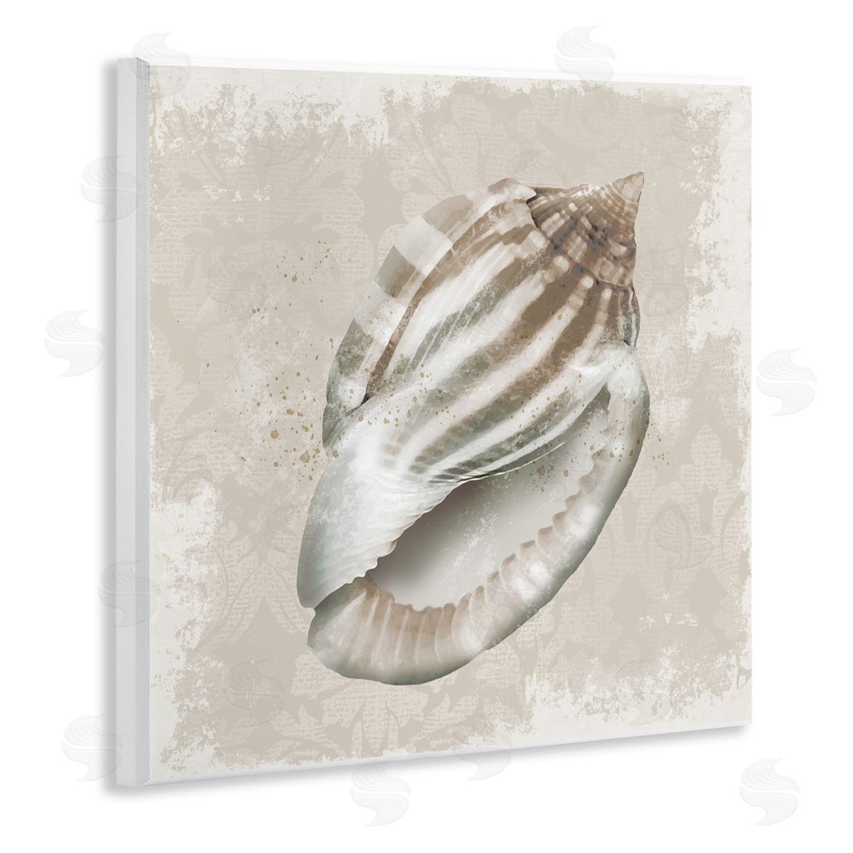 Conrad Knutsen Conch Shell over Vintage Pattern Canvas Wall Art Print