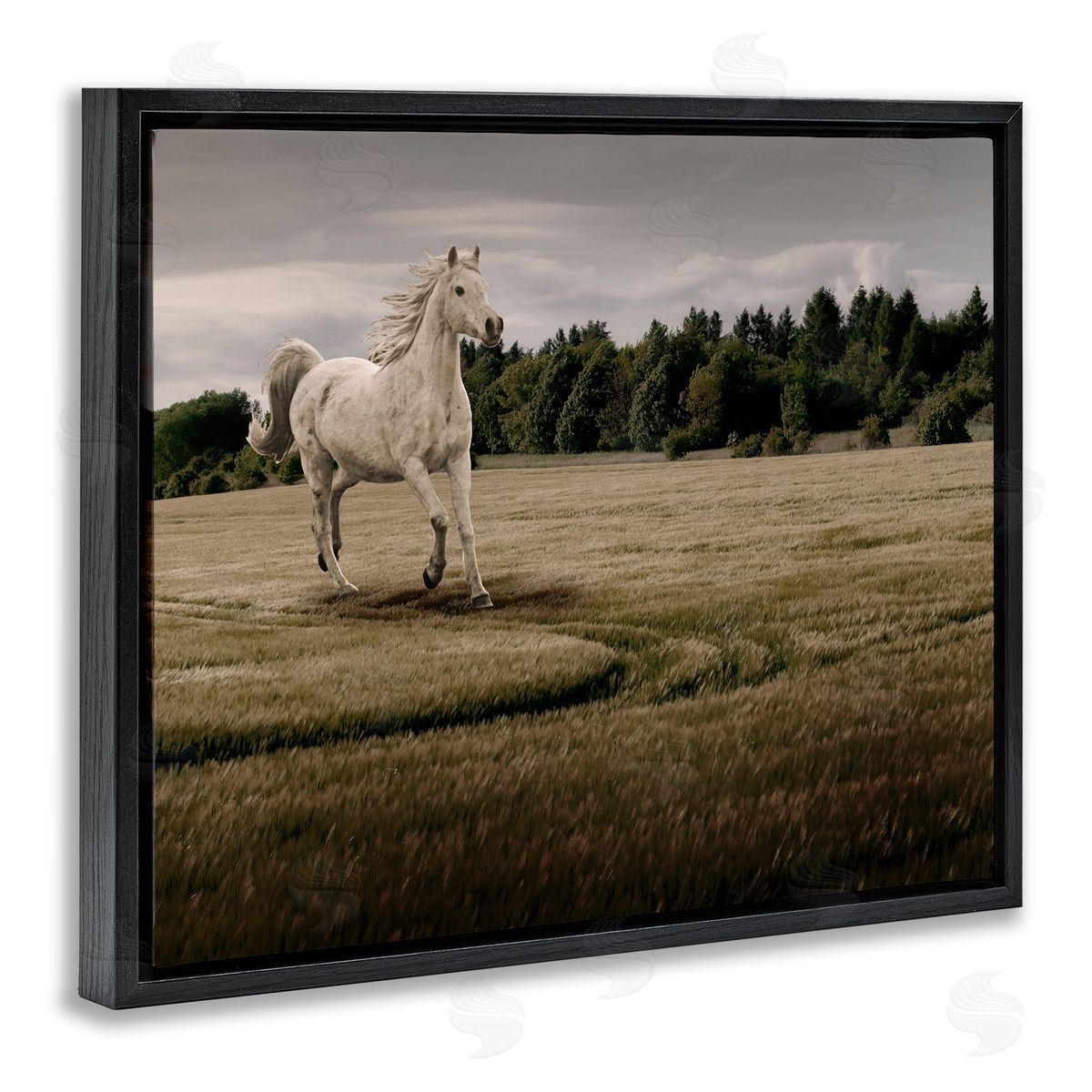 Marcus Prime Galloping Through Field Horse Canvas Wall Art Print