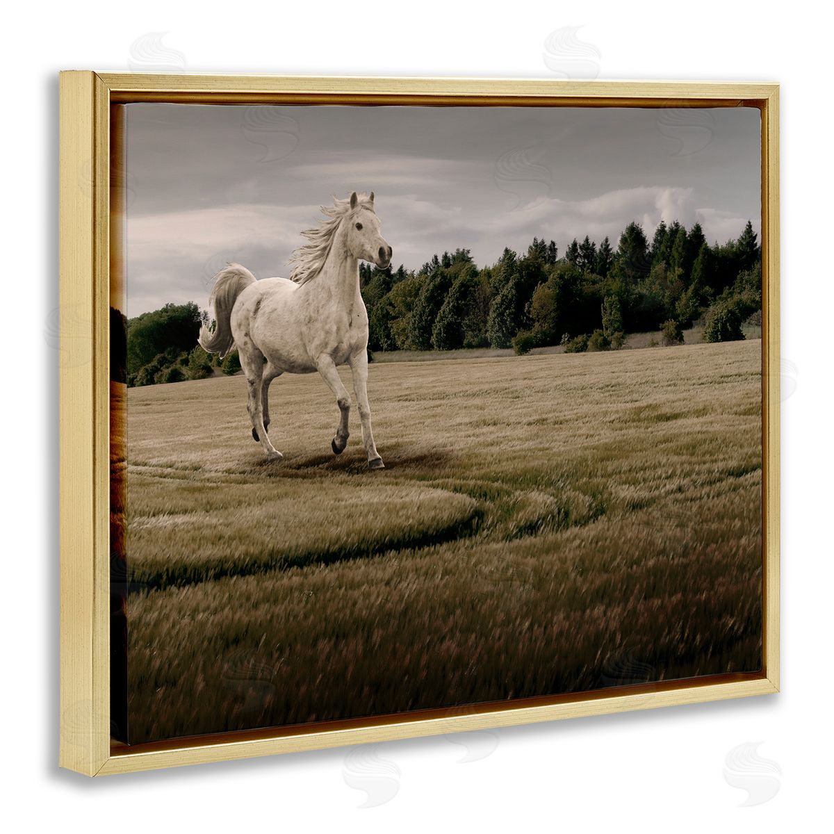 Marcus Prime Galloping Through Field Horse Canvas Wall Art Print