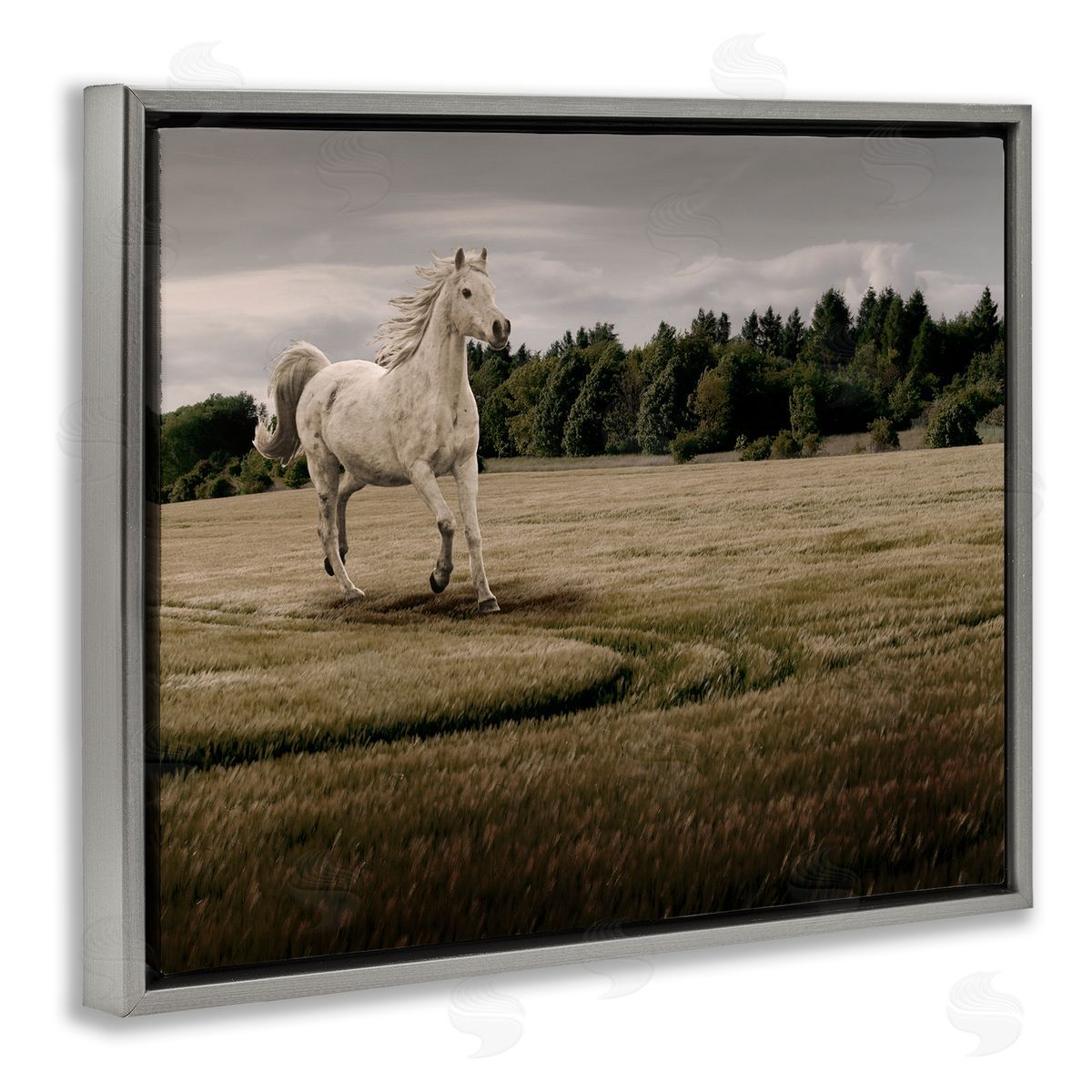 Marcus Prime Galloping Through Field Horse Canvas Wall Art Print
