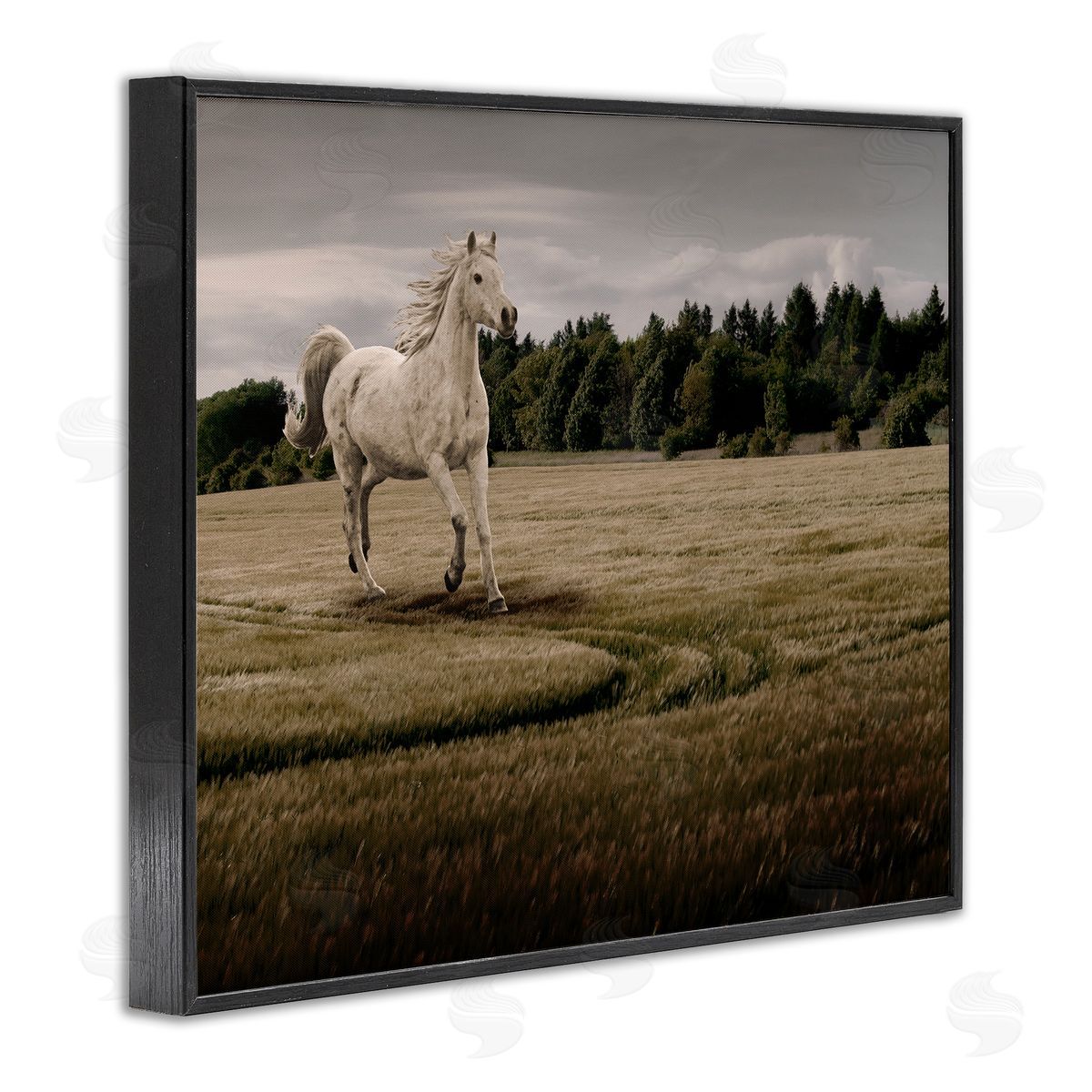 Marcus Prime Galloping Through Field Horse Canvas Wall Art Print