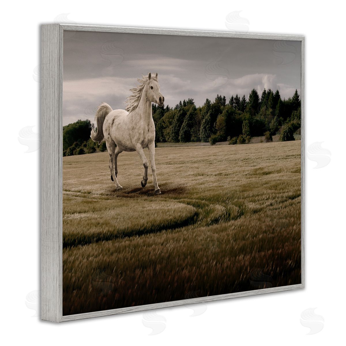 Marcus Prime Galloping Through Field Horse Canvas Wall Art Print