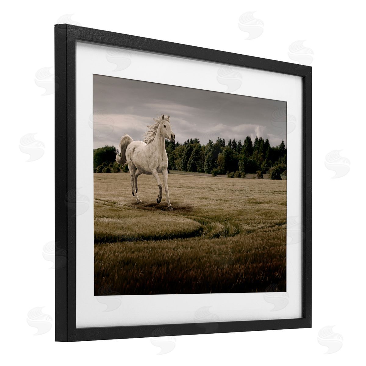 Marcus Prime Galloping Through Field Horse Canvas Wall Art Print