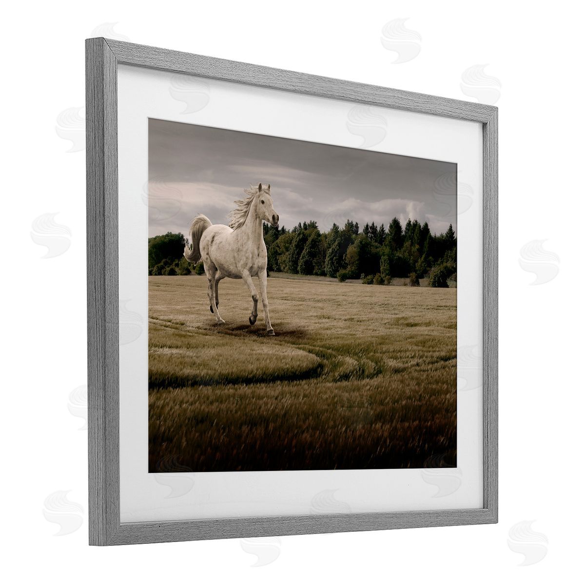 Marcus Prime Galloping Through Field Horse Canvas Wall Art Print