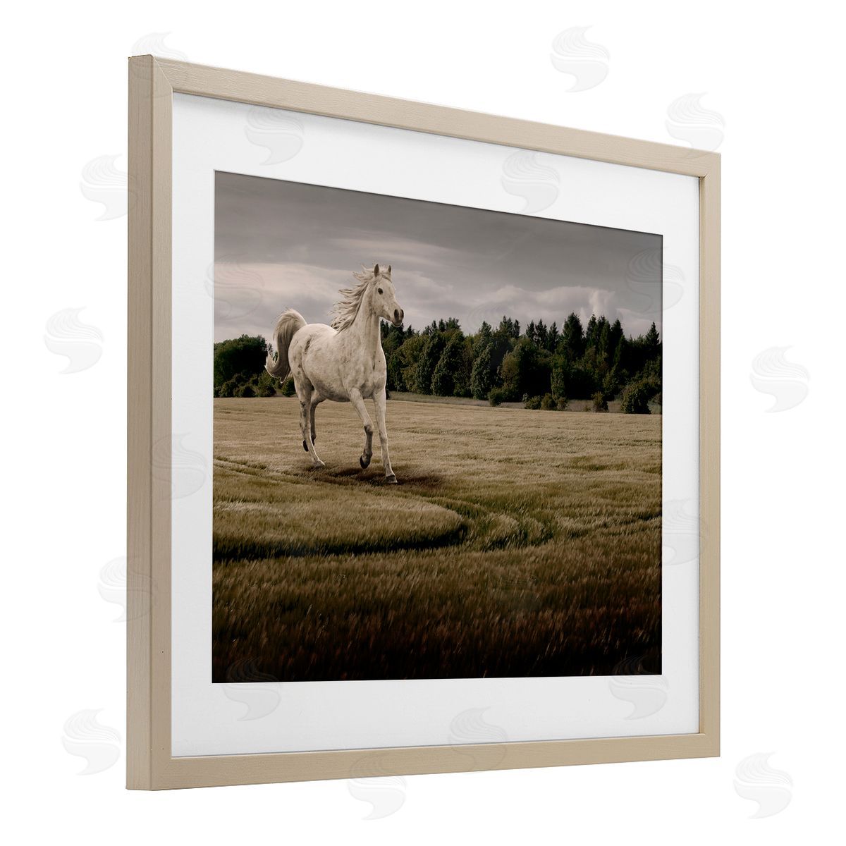 Marcus Prime Galloping Through Field Horse Canvas Wall Art Print