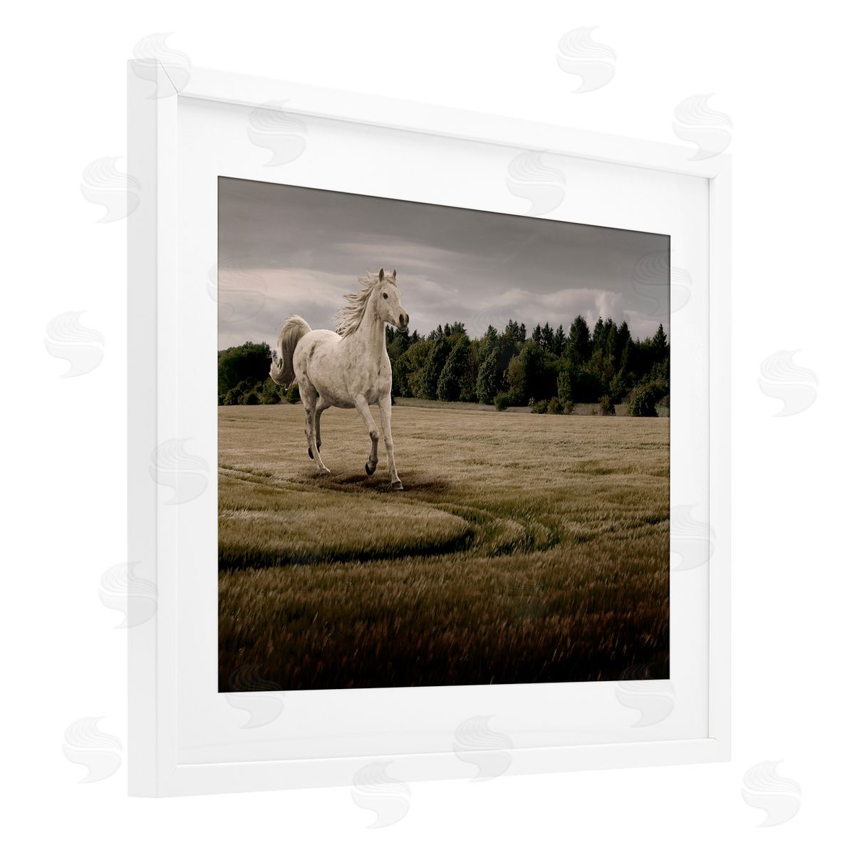 Marcus Prime Galloping Through Field Horse Canvas Wall Art Print