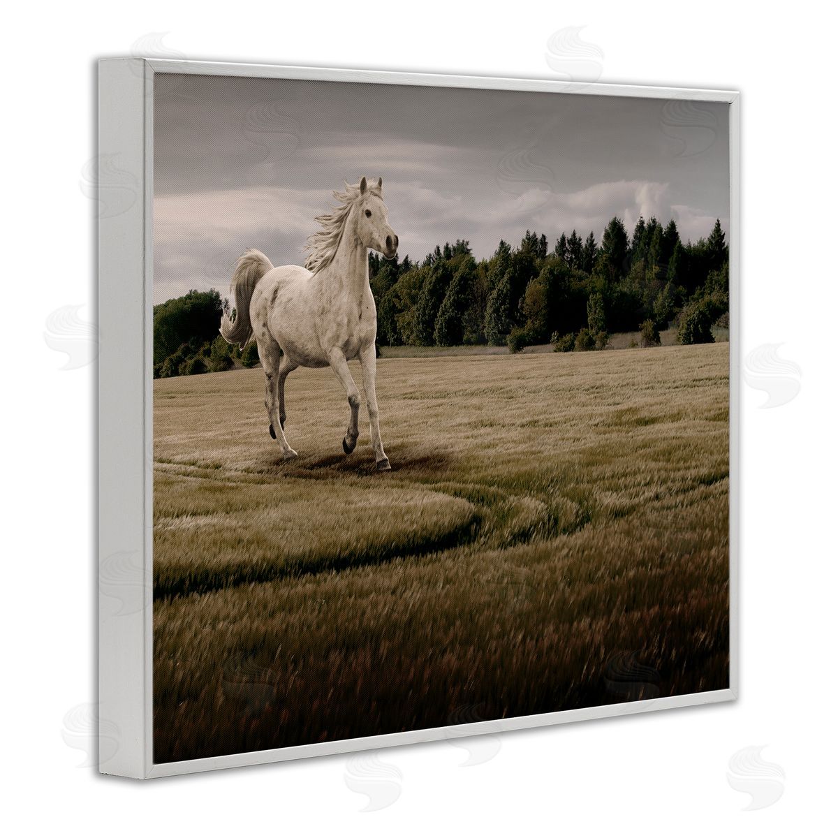 Marcus Prime Galloping Through Field Horse Canvas Wall Art Print