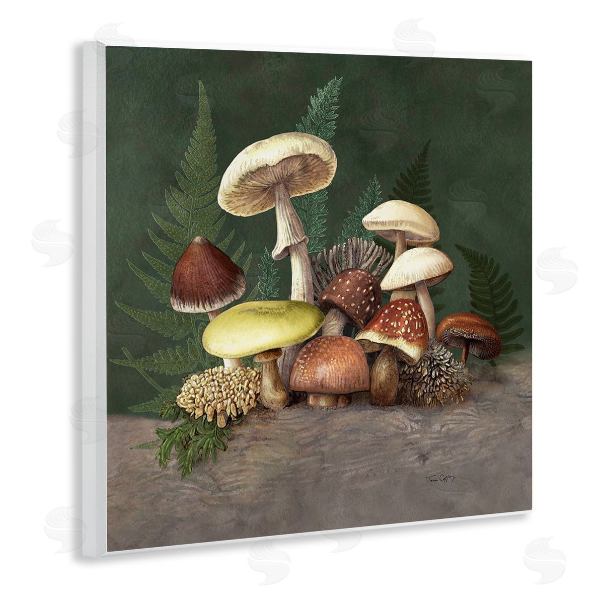 Tim Coffey Mushrooms and Ferns Nature Canvas Wall Art Print