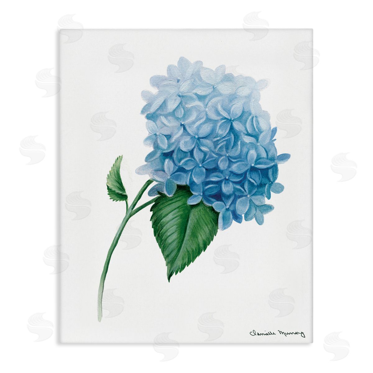 Danielle Murray Hydrangea Stem In Bloom Canvas Wall Art Print