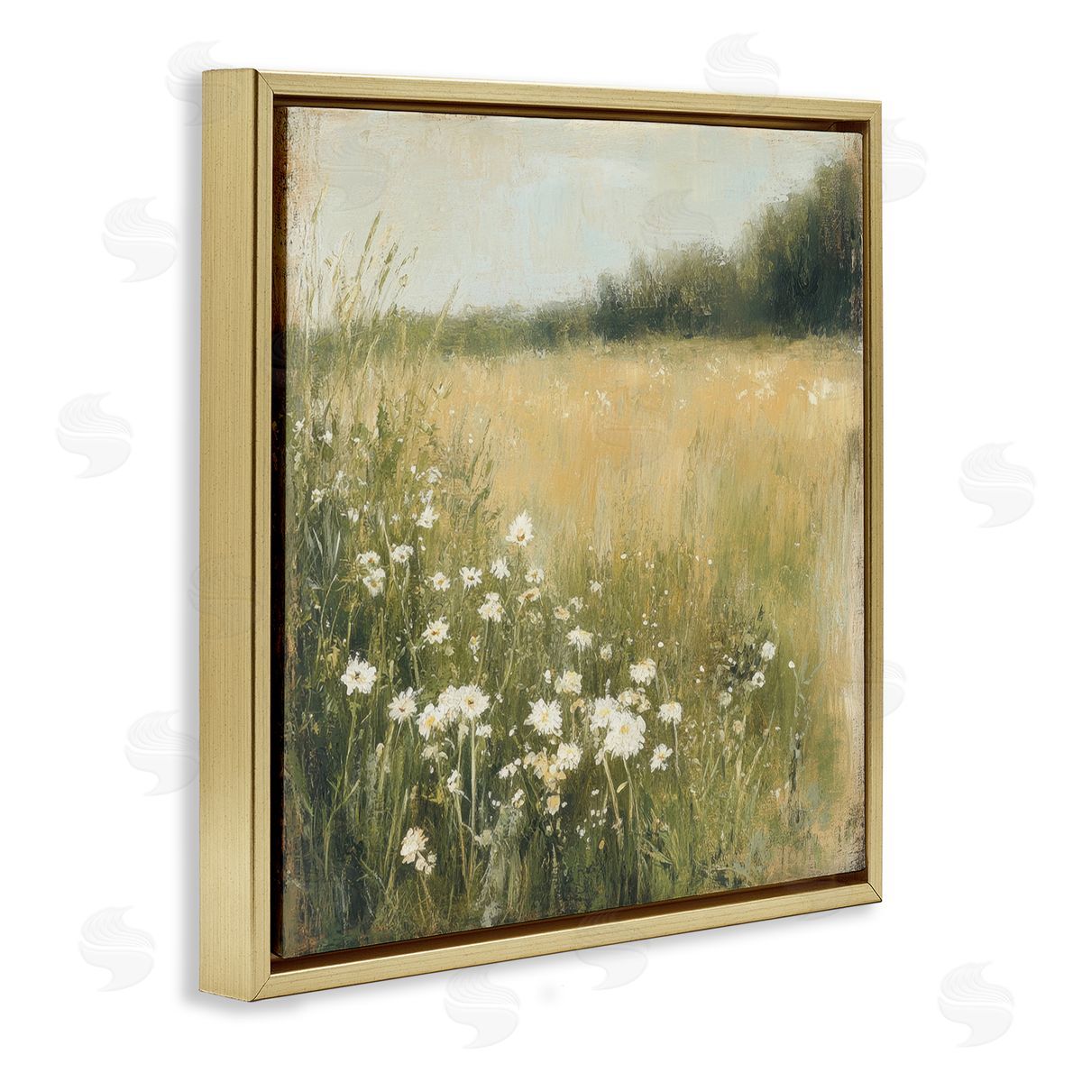 Petal Prints Design Daisy Dream Field Canvas Wall Art Print