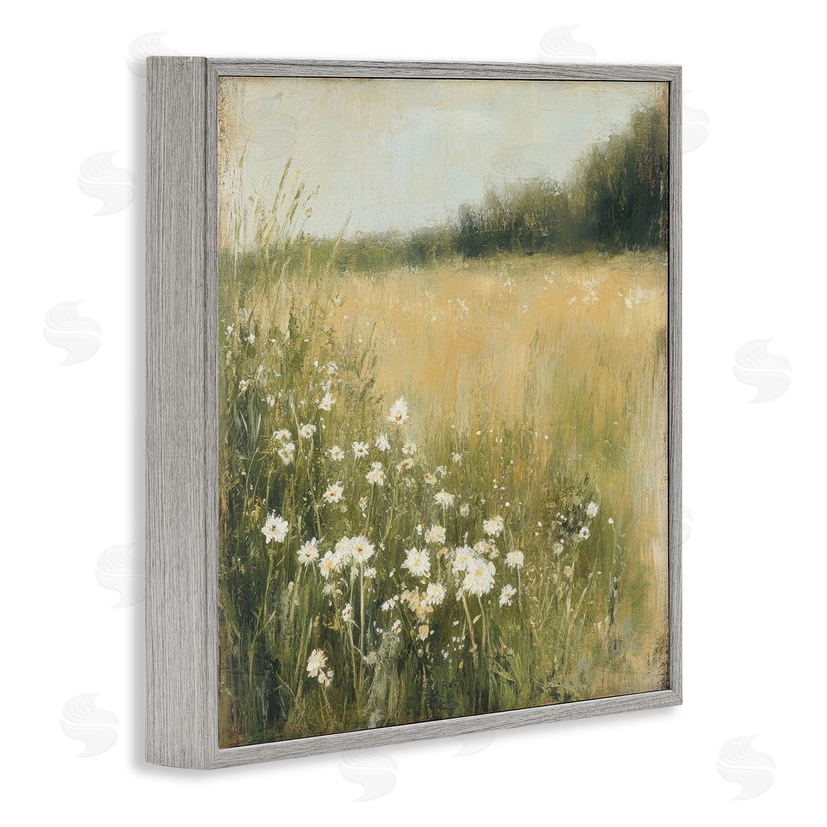 Petal Prints Design Daisy Dream Field Canvas Wall Art Print