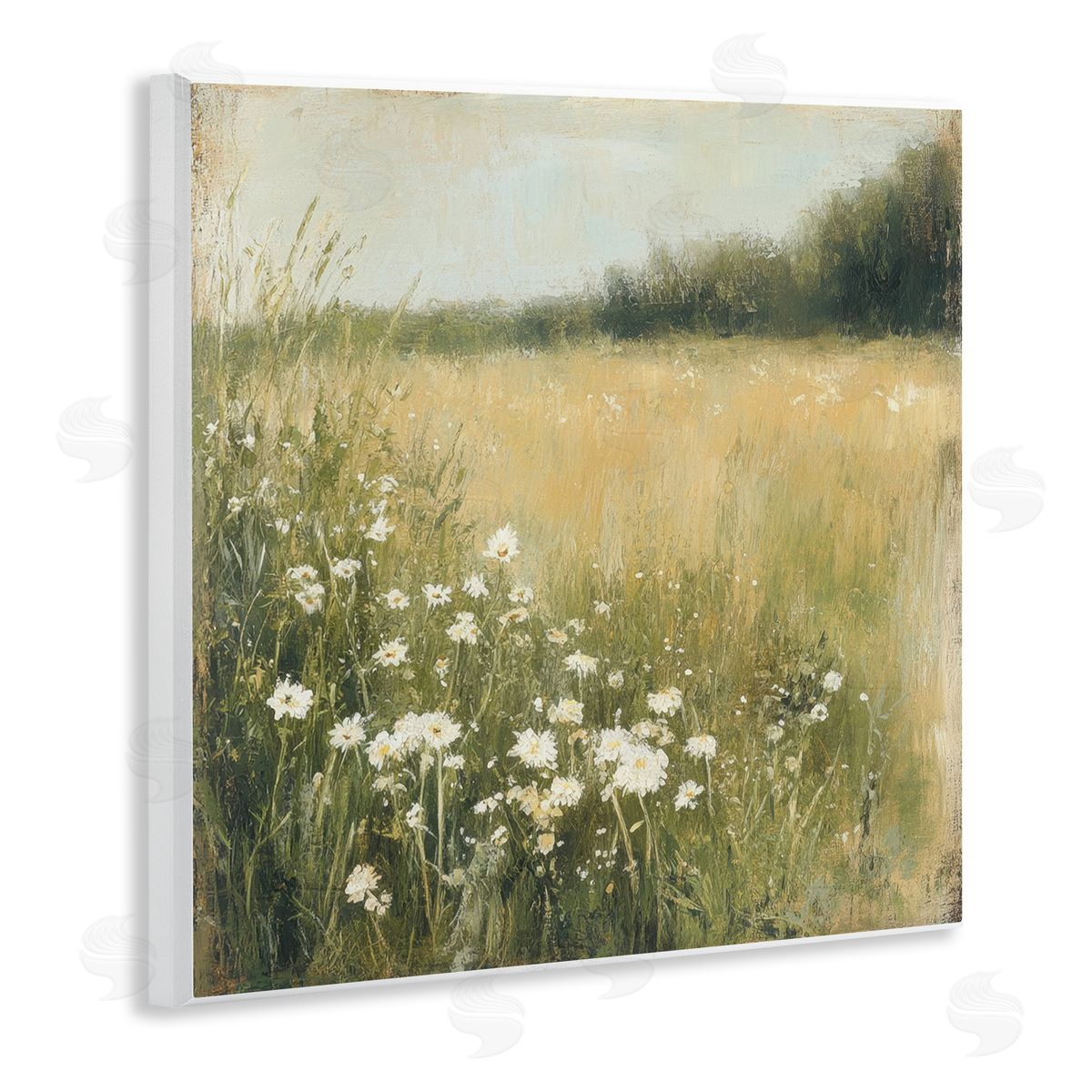 Petal Prints Design Daisy Dream Field Canvas Wall Art Print