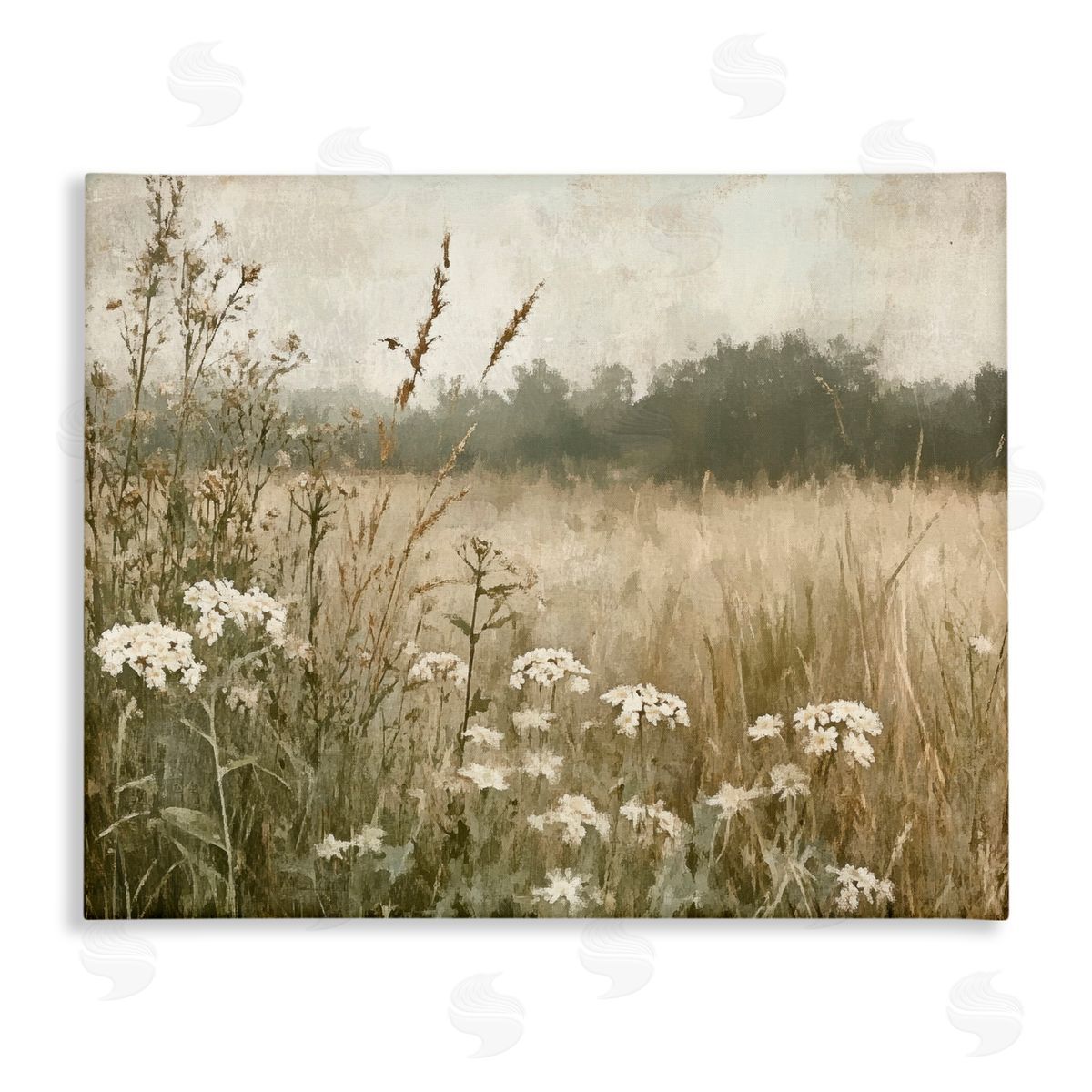 Petal Prints Design Daisy Clusters in Meadow Canvas Wall Art Print