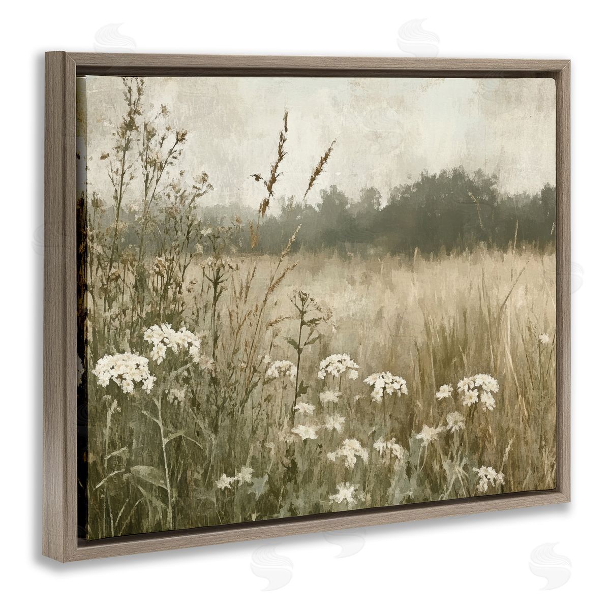 Petal Prints Design Daisy Clusters in Meadow Canvas Wall Art Print