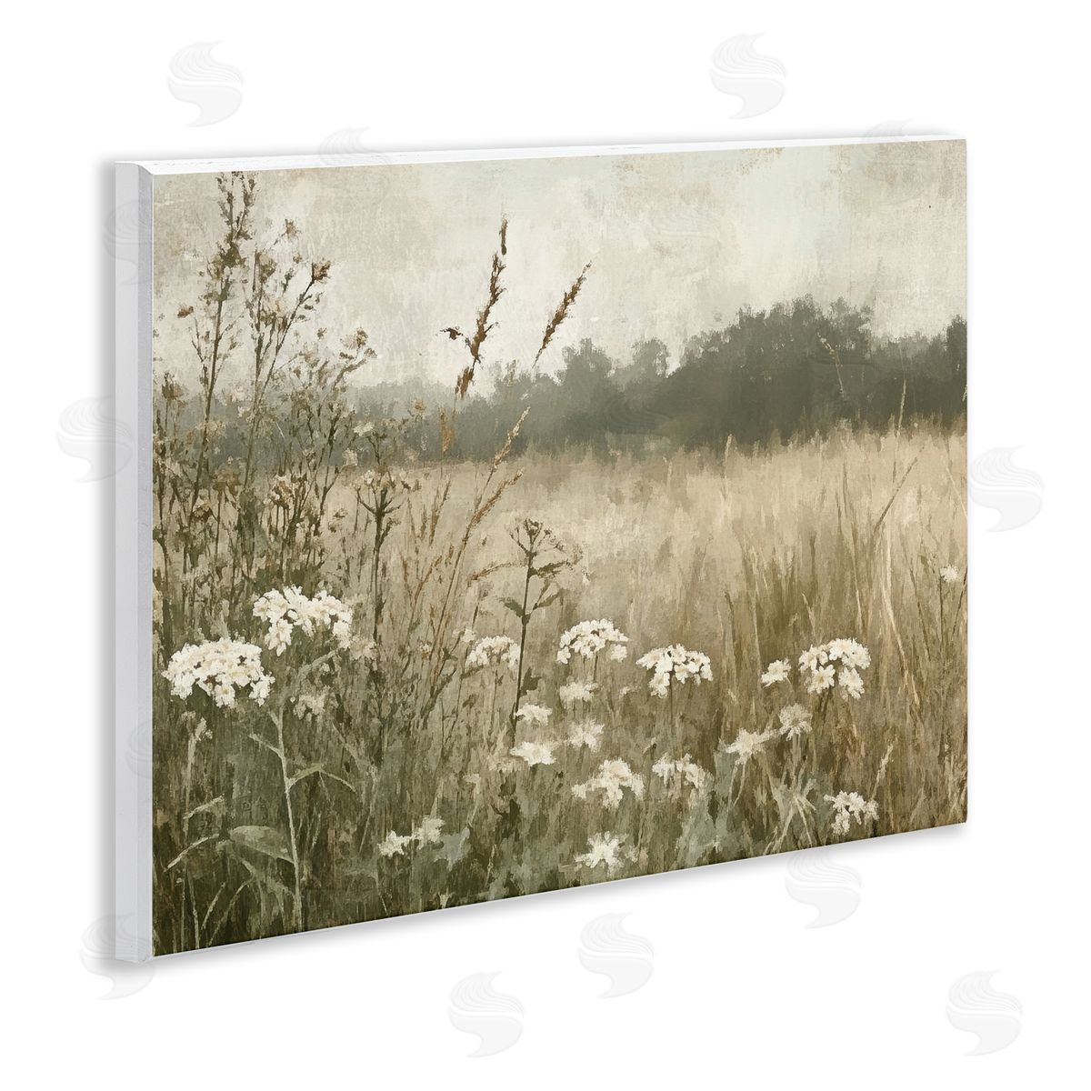 Petal Prints Design Daisy Clusters in Meadow Canvas Wall Art Print