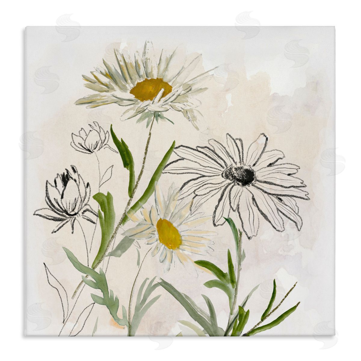Jacob Q Pure Simplicity Flowers Canvas Wall Art Print
