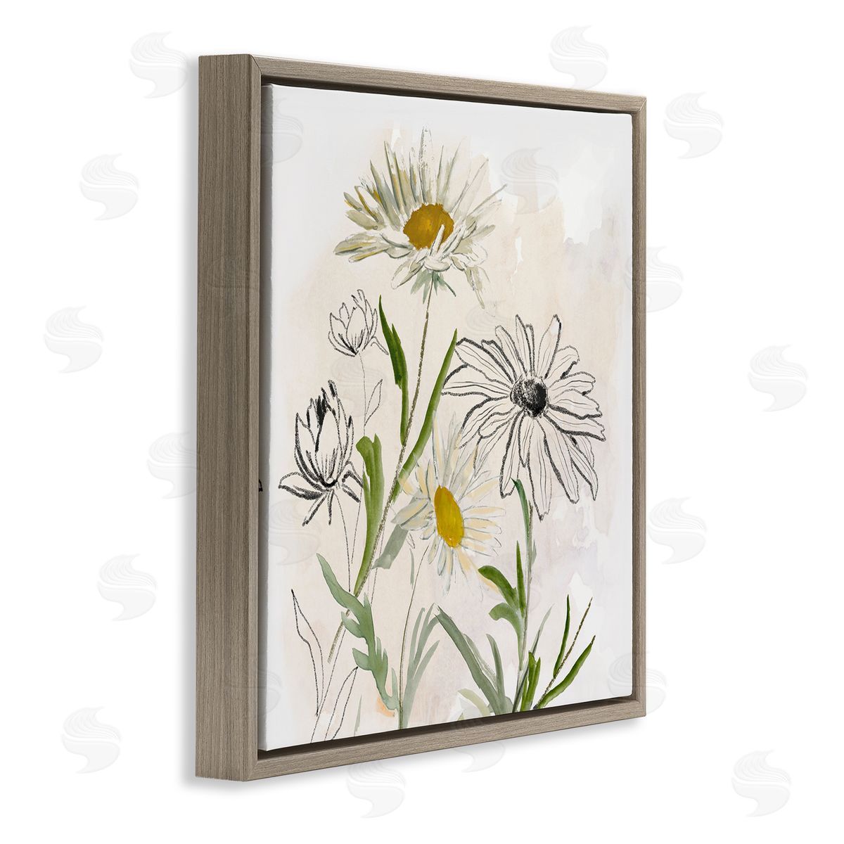Jacob Q Pure Simplicity Flowers Canvas Wall Art Print