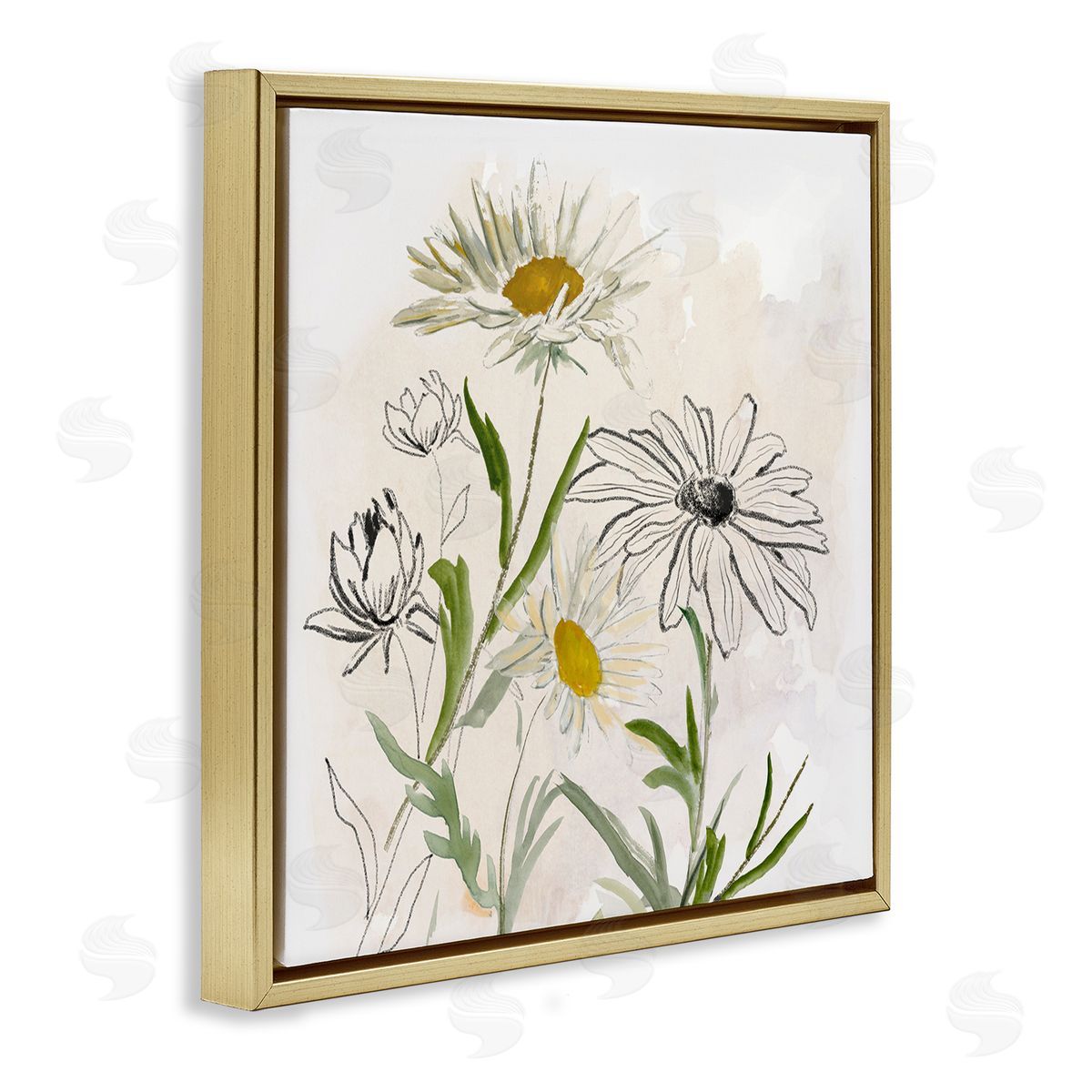 Jacob Q Pure Simplicity Flowers Canvas Wall Art Print