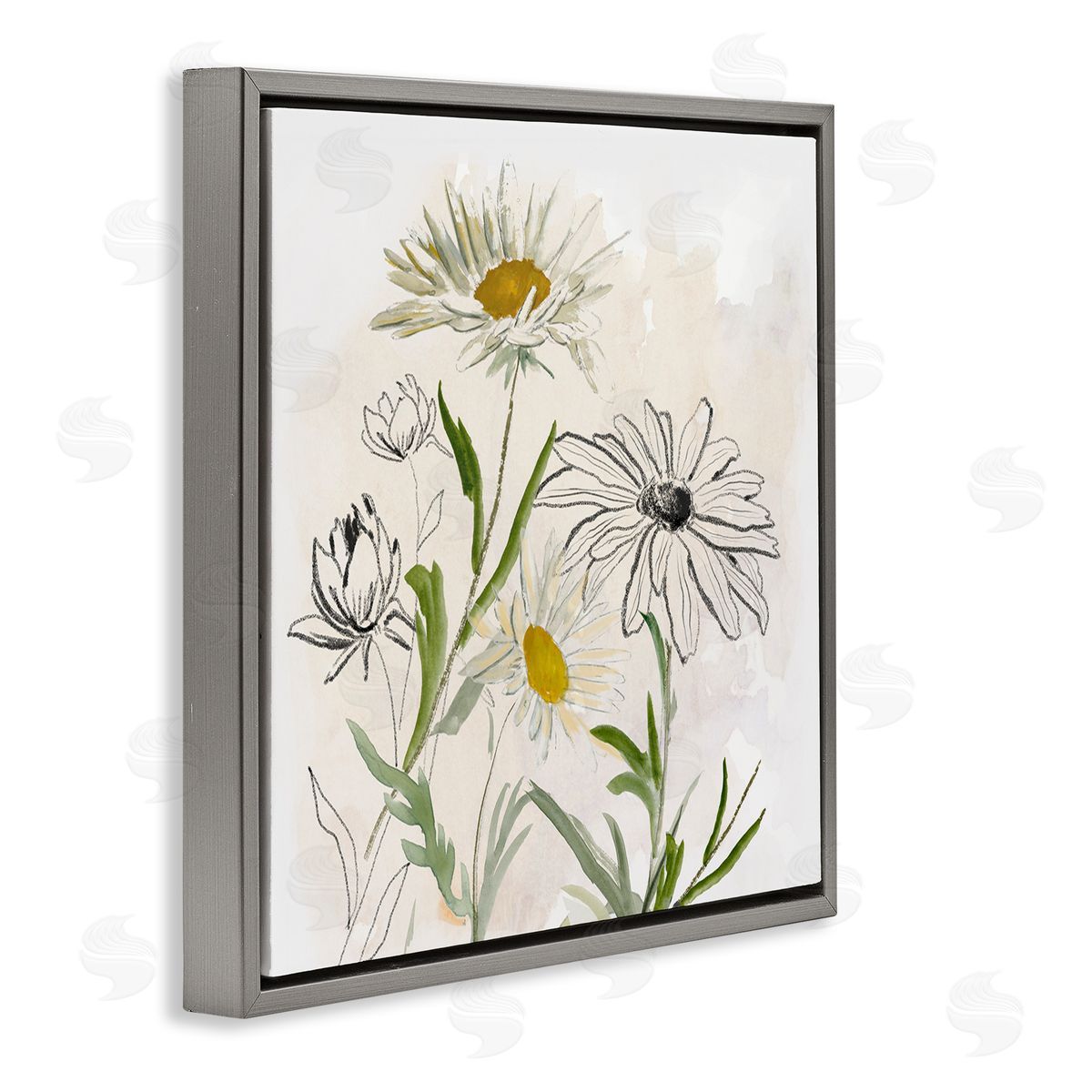 Jacob Q Pure Simplicity Flowers Canvas Wall Art Print