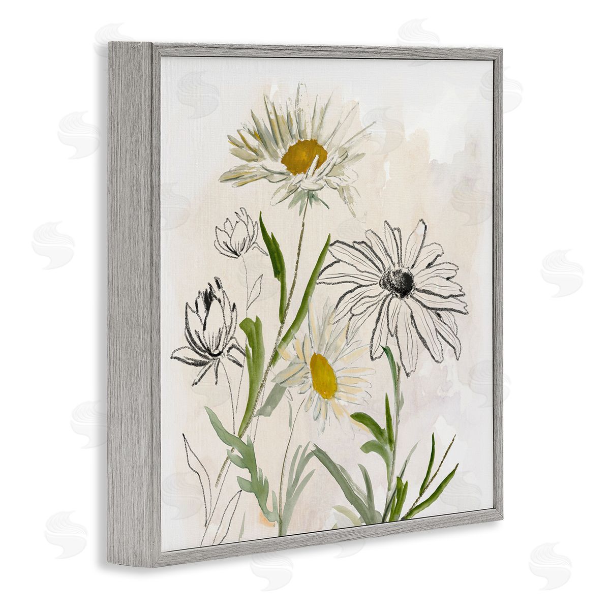Jacob Q Pure Simplicity Flowers Canvas Wall Art Print