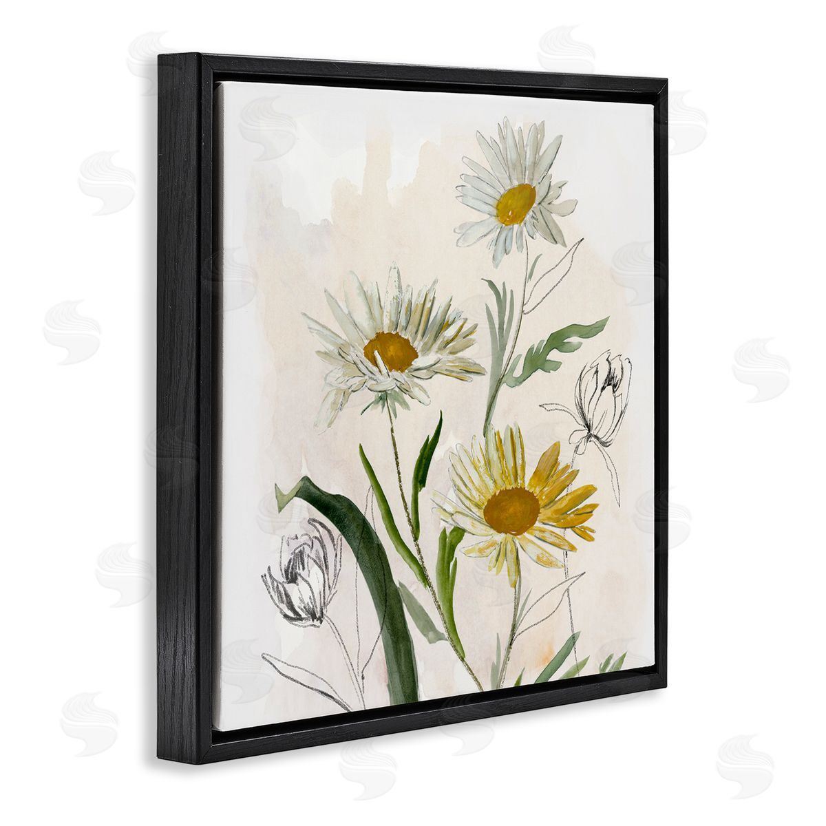 Jacob Q Pure Simplicity Daisies Canvas Wall Art Print