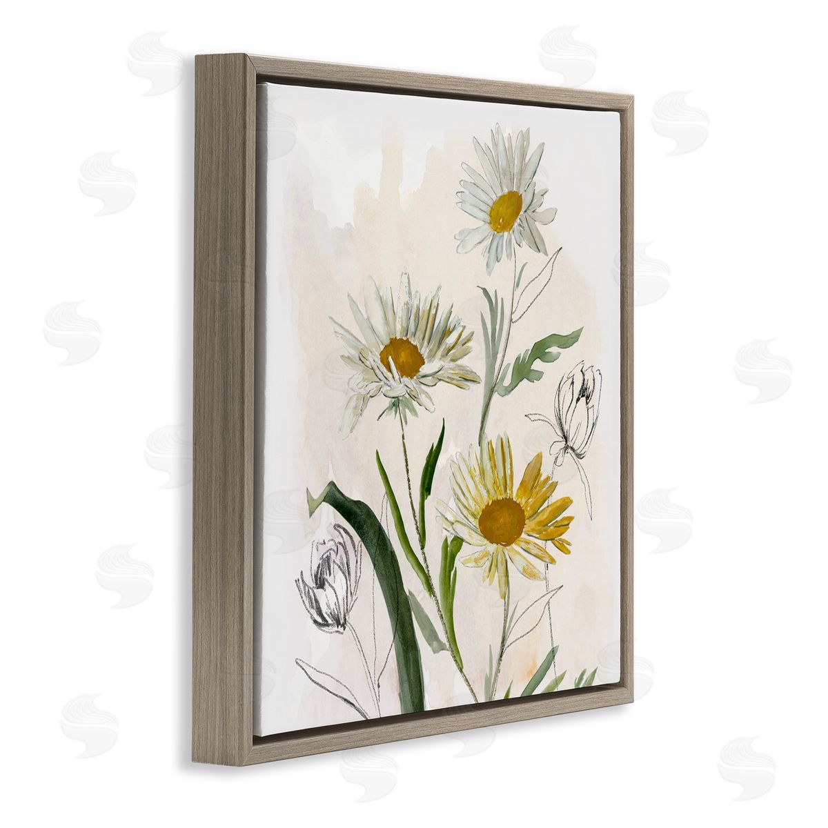 Jacob Q Pure Simplicity Daisies Canvas Wall Art Print