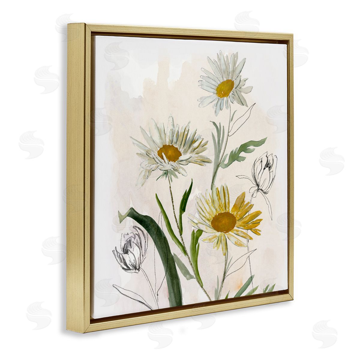 Jacob Q Pure Simplicity Daisies Canvas Wall Art Print