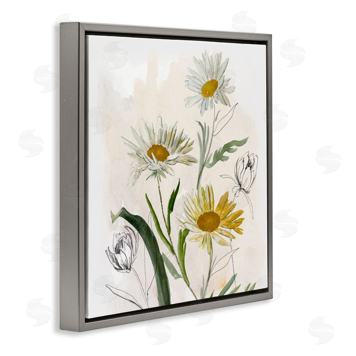 Jacob Q Pure Simplicity Daisies Canvas Wall Art Print