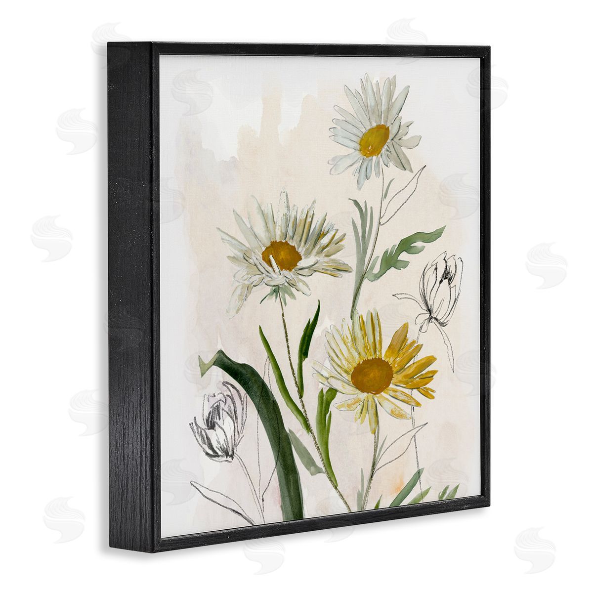Jacob Q Pure Simplicity Daisies Canvas Wall Art Print