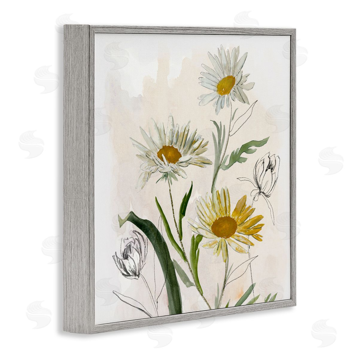 Jacob Q Pure Simplicity Daisies Canvas Wall Art Print