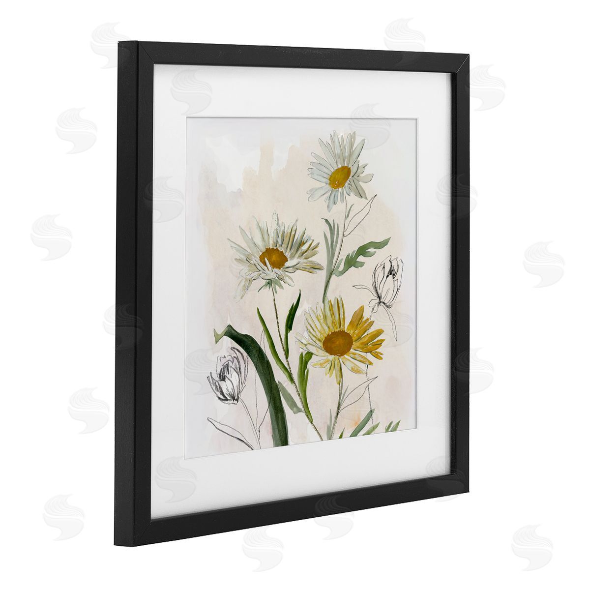 Jacob Q Pure Simplicity Daisies Canvas Wall Art Print