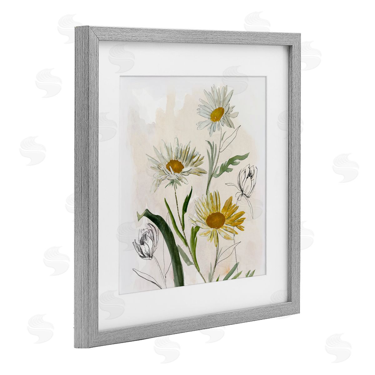 Jacob Q Pure Simplicity Daisies Canvas Wall Art Print
