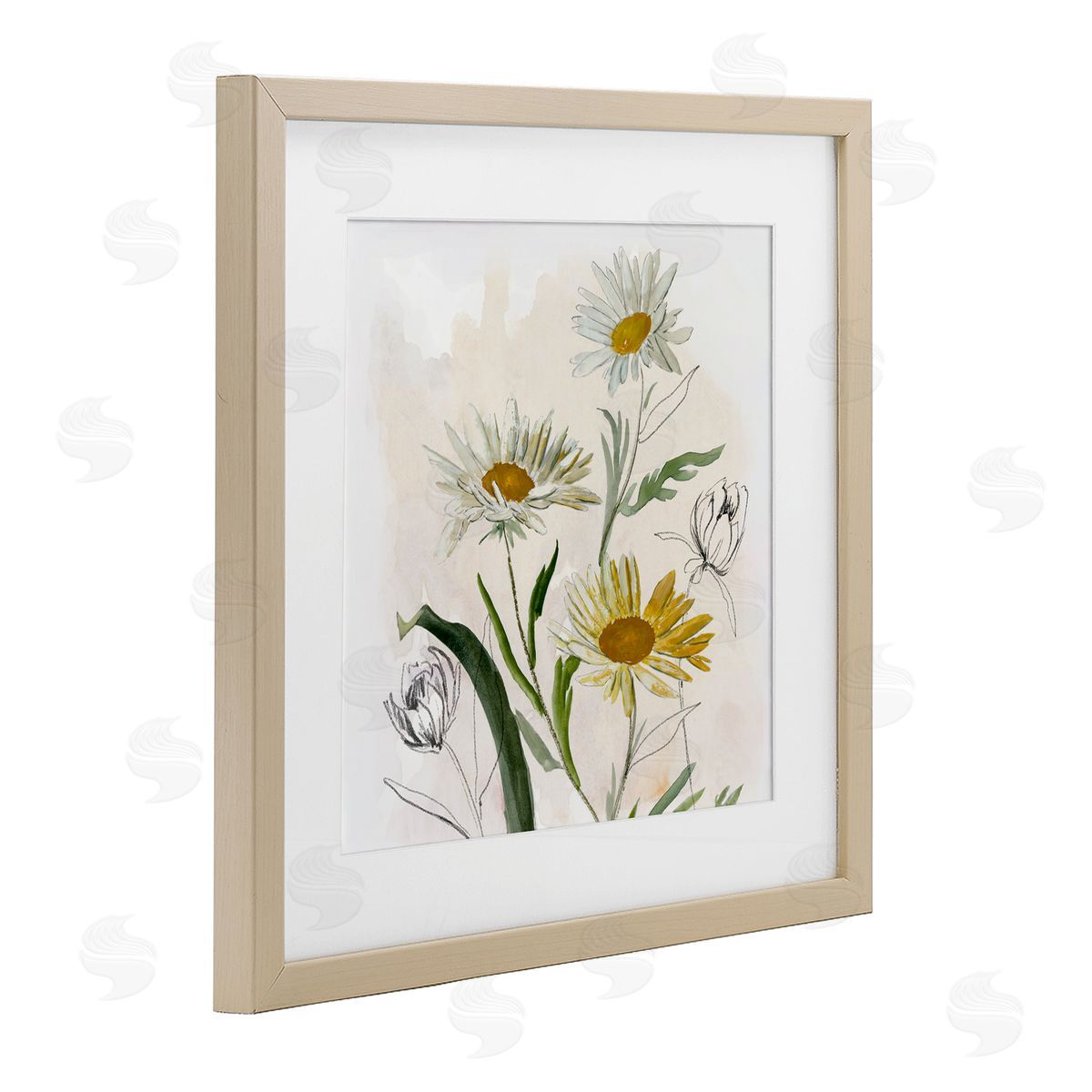 Jacob Q Pure Simplicity Daisies Canvas Wall Art Print