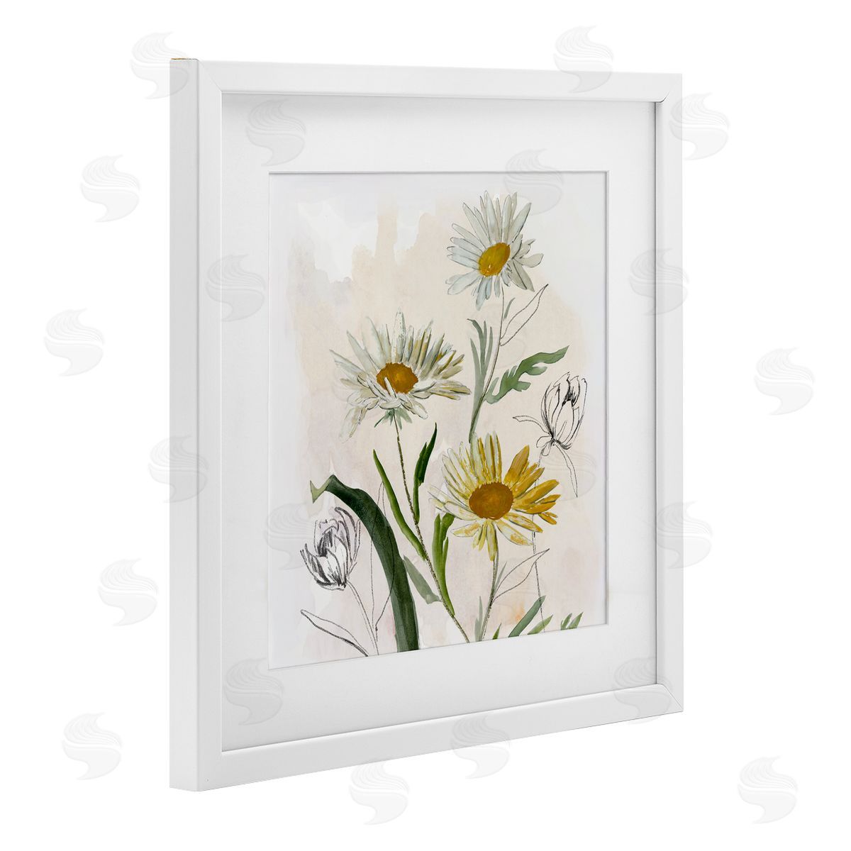 Jacob Q Pure Simplicity Daisies Canvas Wall Art Print