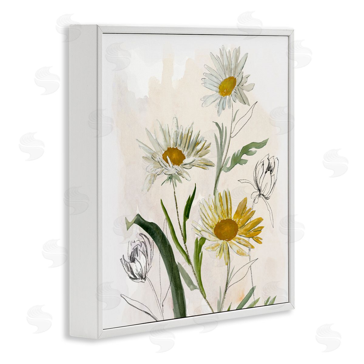 Jacob Q Pure Simplicity Daisies Canvas Wall Art Print