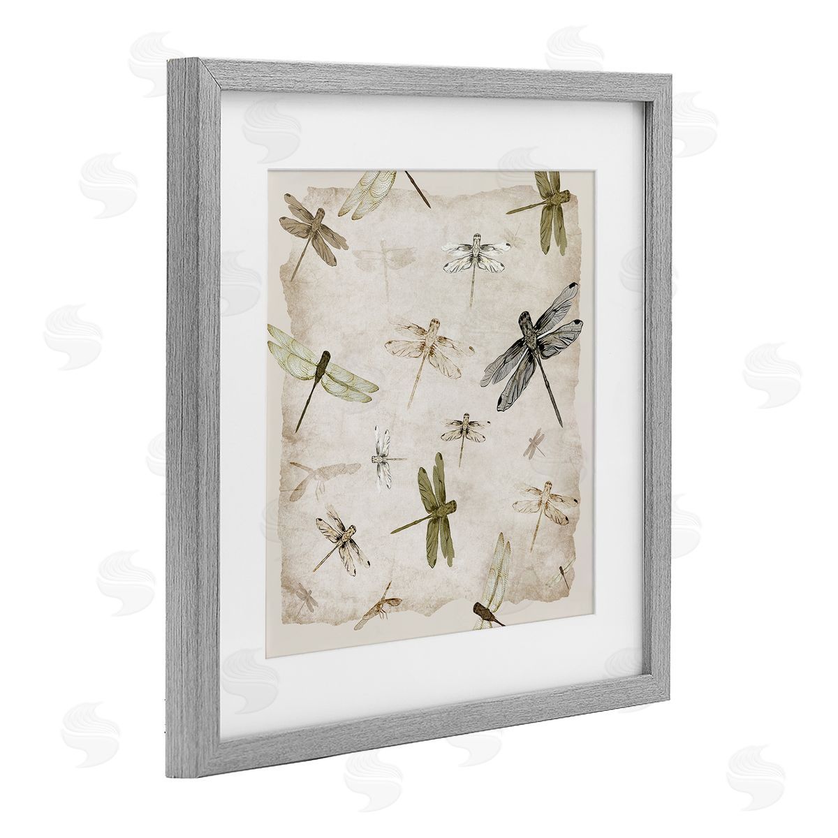 Jacob Q Glide In Grace Dragonflies Canvas Wall Art Print