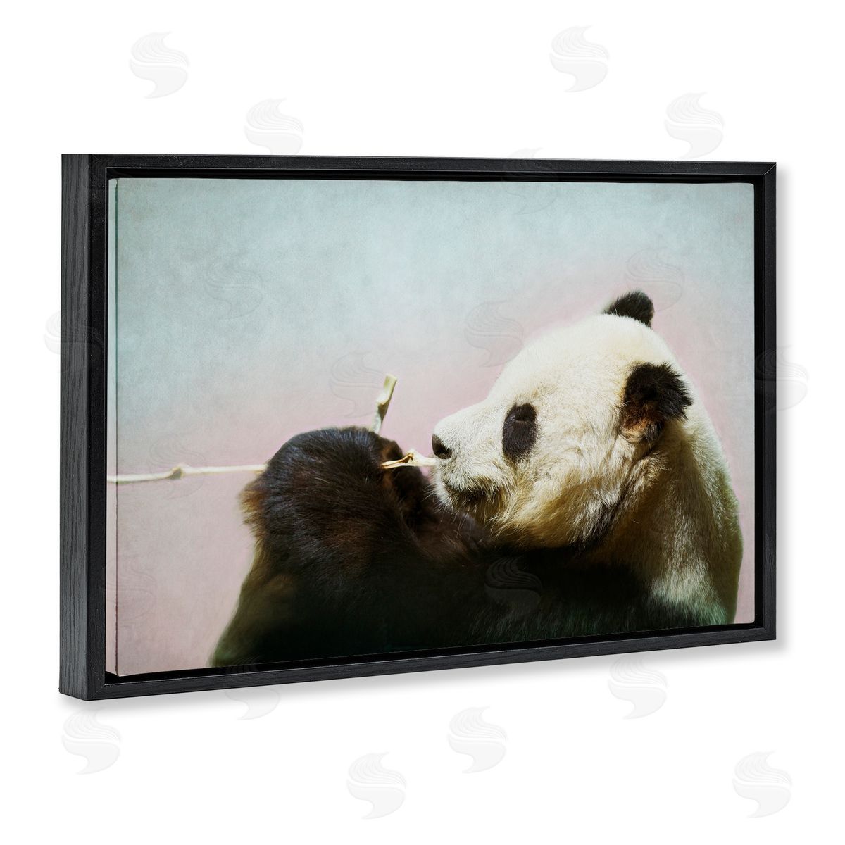 Roberta Murray Wild Panda & Bamboo Canvas Wall Art Print