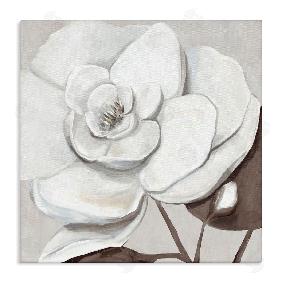 Hannah Dawson Elegant White Blooms Canvas Wall Art Print