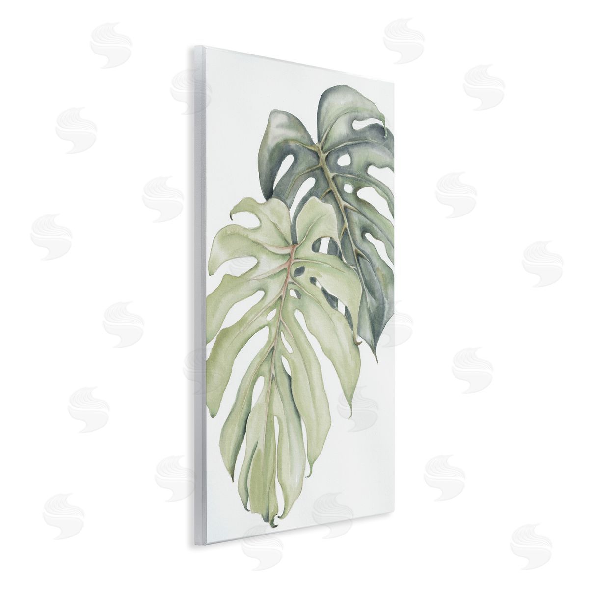 Errico & Slyp Philodendron Monstera Leaves Canvas Wall Art Print