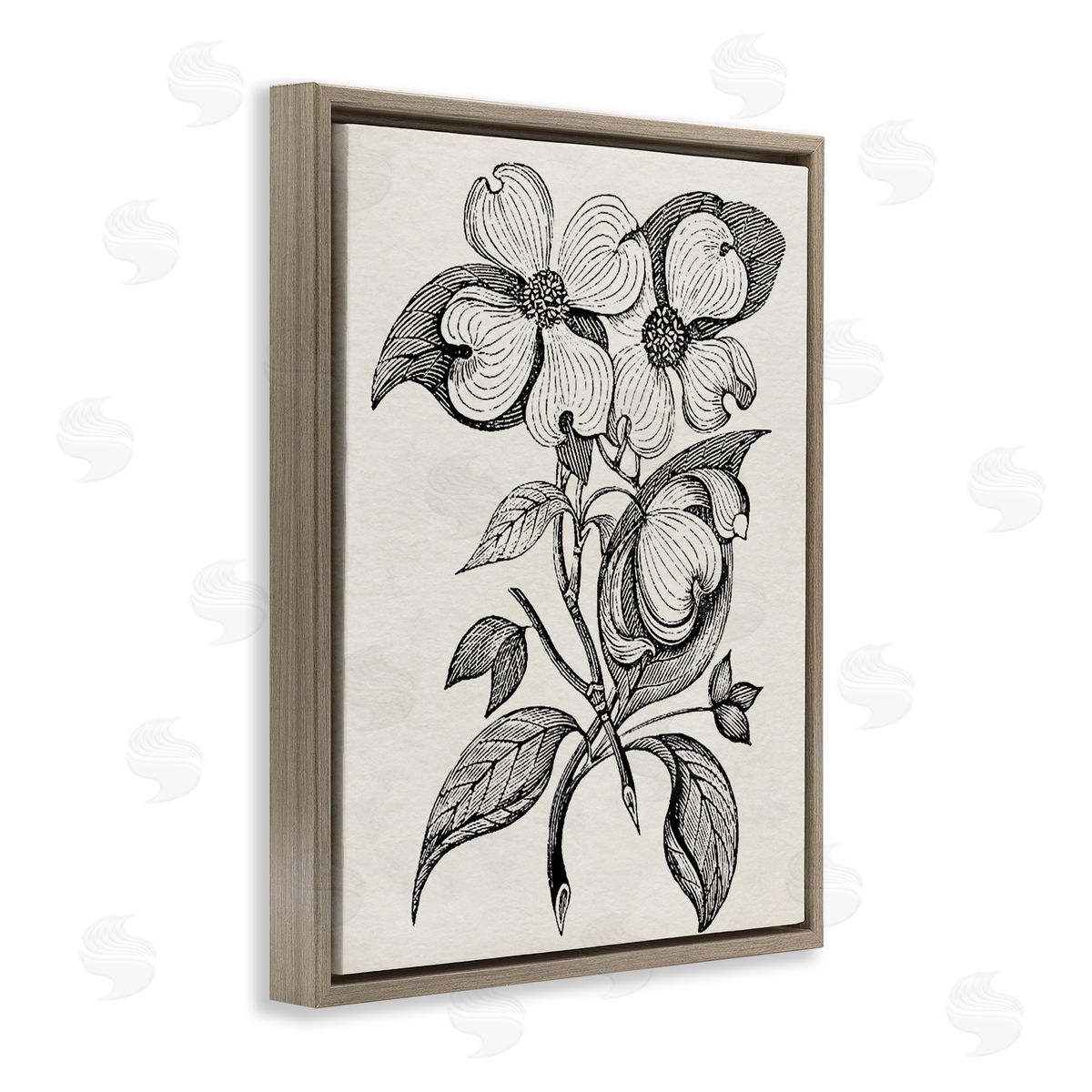 Karen Smith Classic Cut of Dogwood Canvas Wall Art Print