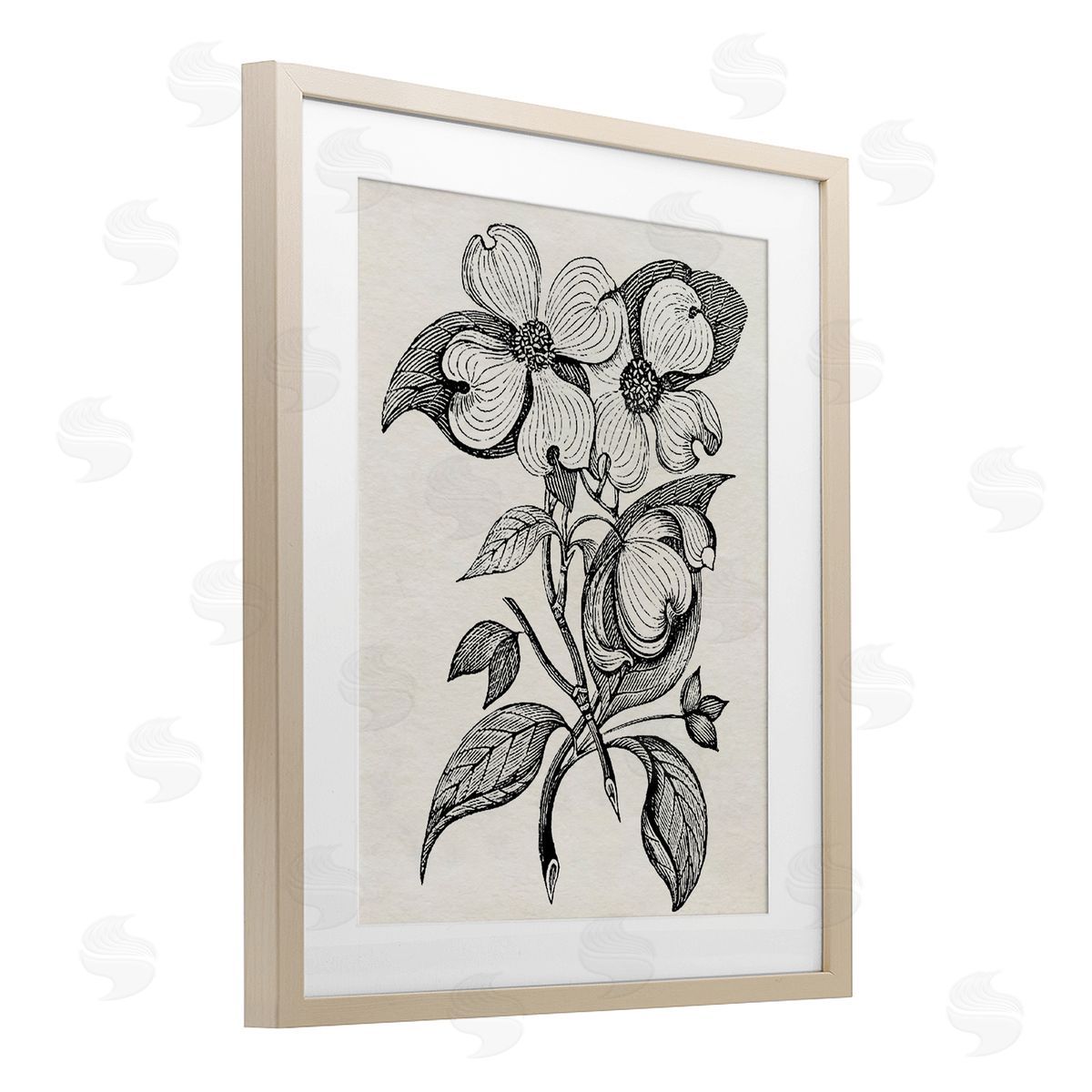 Karen Smith Classic Cut of Dogwood Canvas Wall Art Print