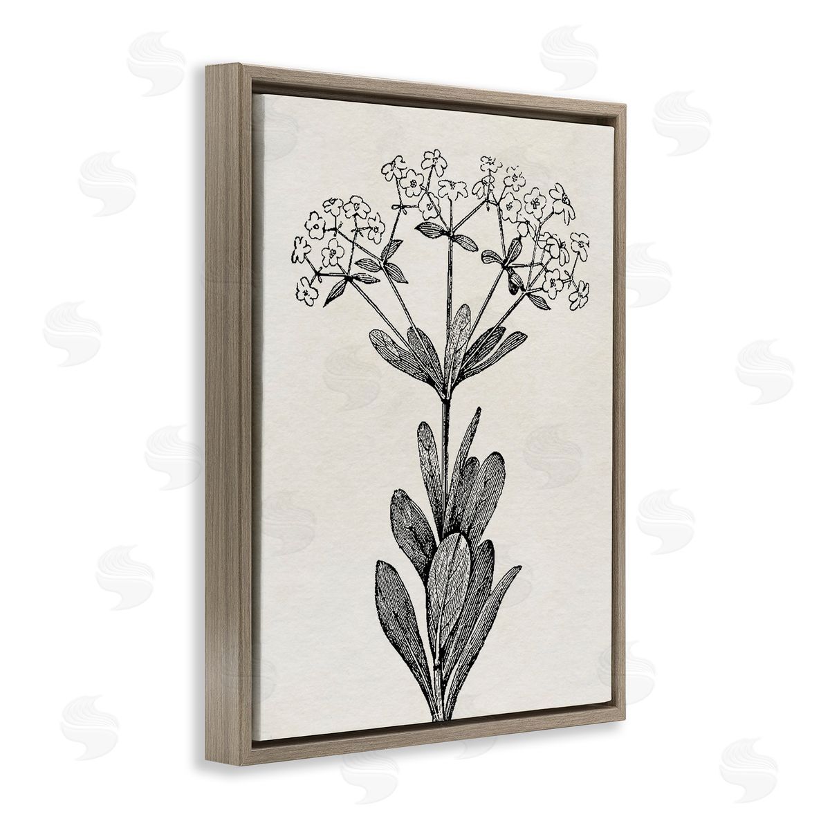 Karen Smith Classic Cuts Botanicals Canvas Wall Art Print