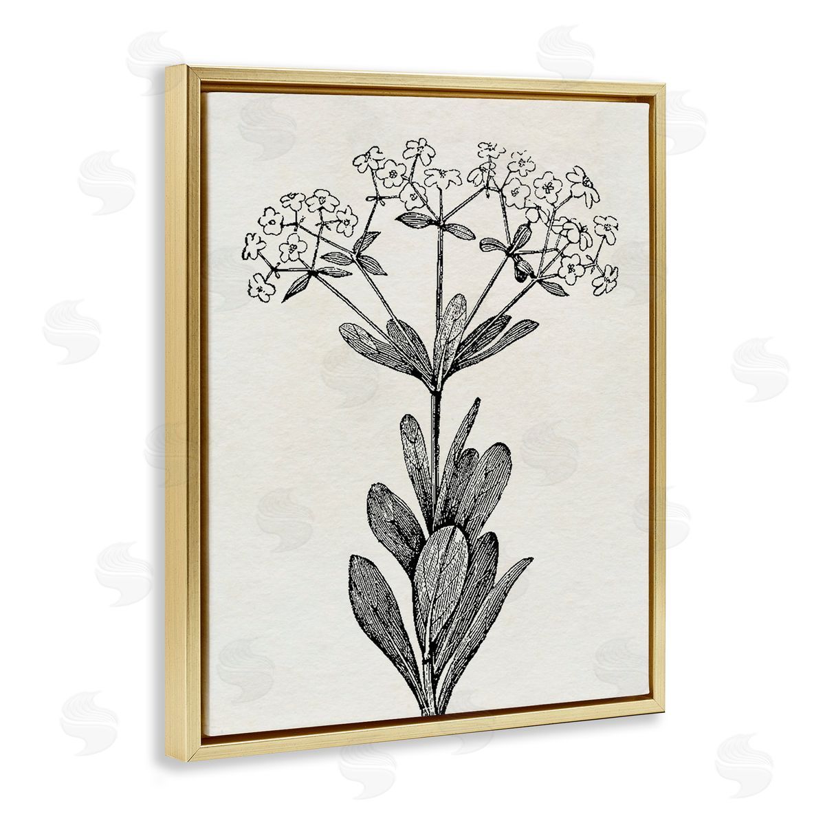 Karen Smith Classic Cuts Botanicals Canvas Wall Art Print