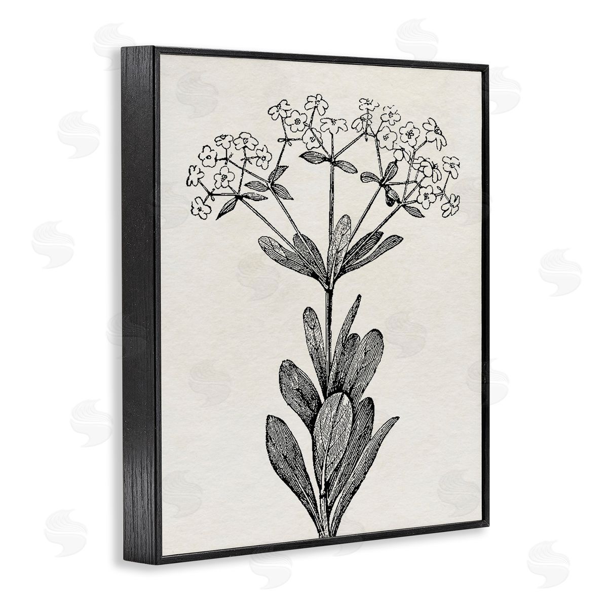 Karen Smith Classic Cuts Botanicals Canvas Wall Art Print