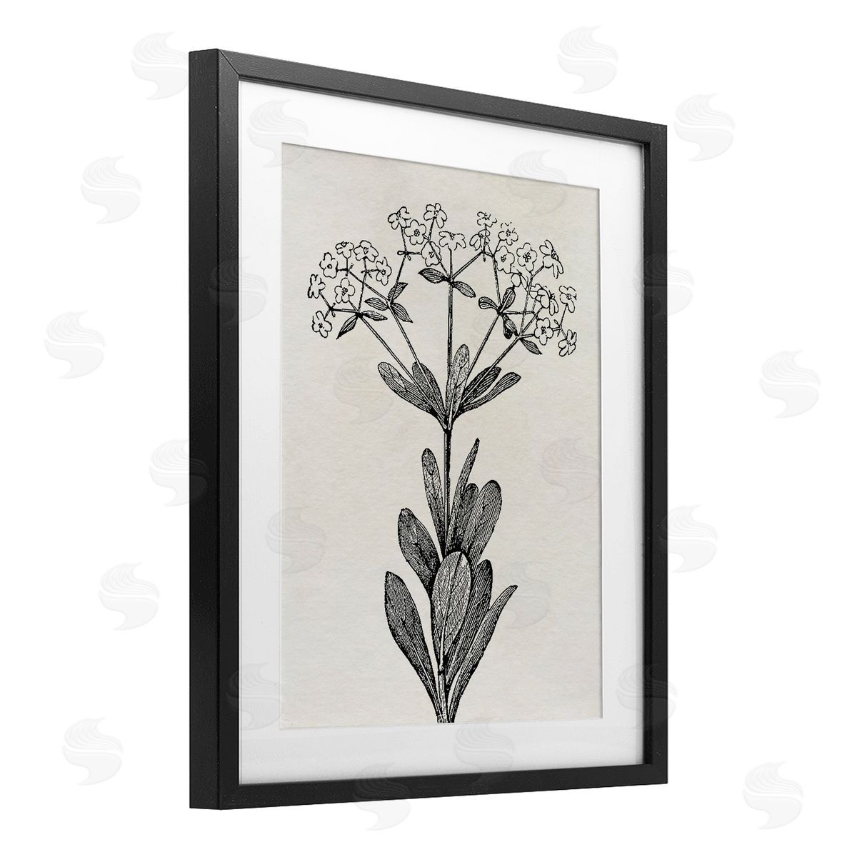 Karen Smith Classic Cuts Botanicals Canvas Wall Art Print