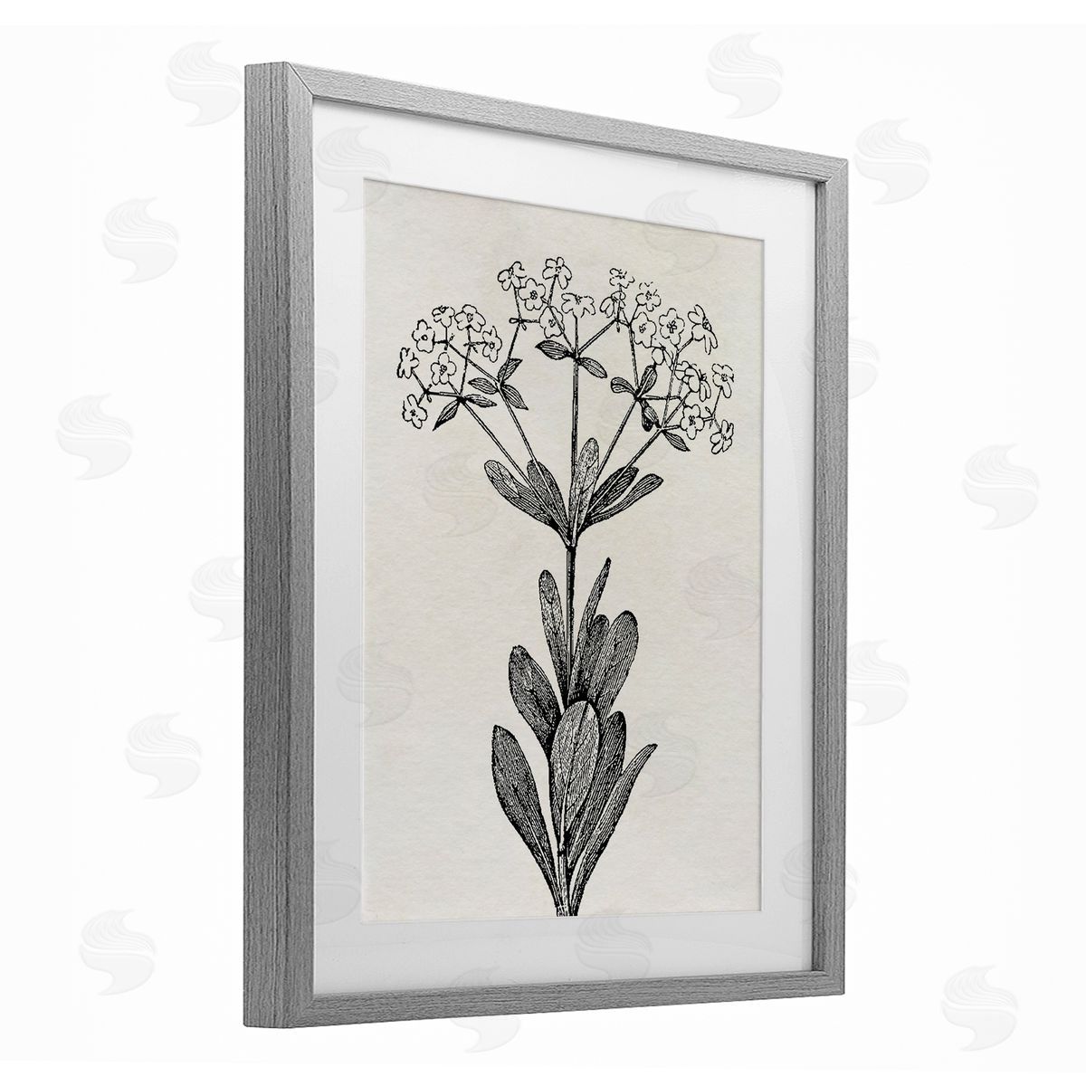 Karen Smith Classic Cuts Botanicals Canvas Wall Art Print