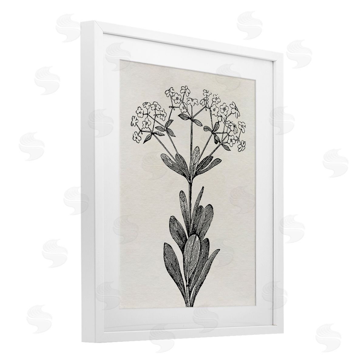 Karen Smith Classic Cuts Botanicals Canvas Wall Art Print